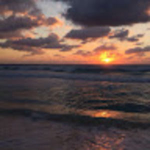 Meet your Posher, Hernan navarro